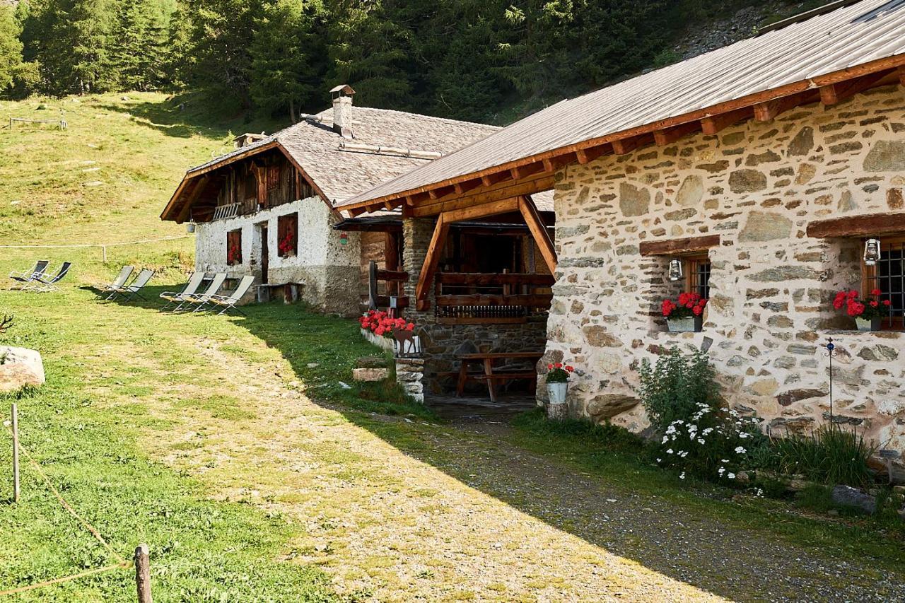 Nestalp Malga Campo Villa Peio Exterior foto